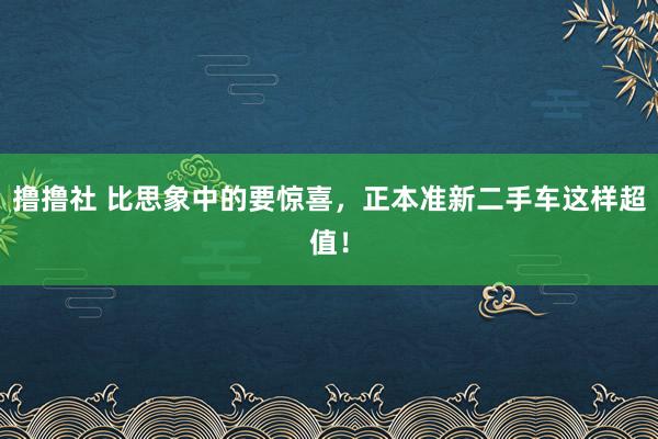撸撸社 比思象中的要惊喜，正本准新二手车这样超值！