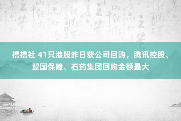 撸撸社 41只港股昨日获公司回购，腾讯控股、盟国保障、石药集团回购金额最大
