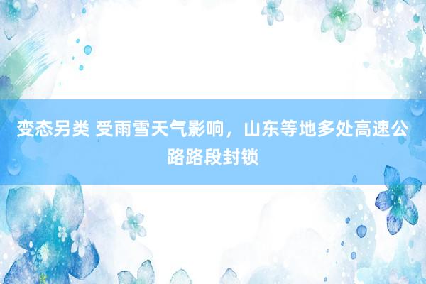 变态另类 受雨雪天气影响，山东等地多处高速公路路段封锁