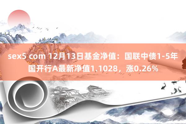 sex5 com 12月13日基金净值：国联中债1-5年国开行A最新净值1.1028，涨0.26%
