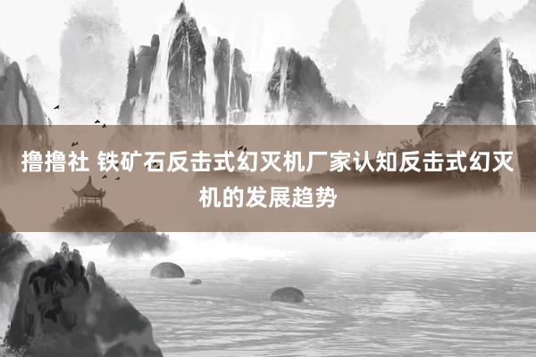 撸撸社 铁矿石反击式幻灭机厂家认知反击式幻灭机的发展趋势