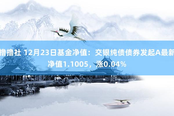 撸撸社 12月23日基金净值：交银纯债债券发起A最新净值1.1005，涨0.04%
