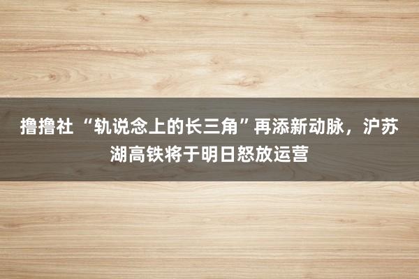 撸撸社 “轨说念上的长三角”再添新动脉，沪苏湖高铁将于明日怒放运营