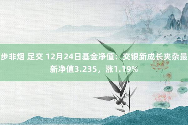 步非烟 足交 12月24日基金净值：交银新成长夹杂最新净值3.235，涨1.19%