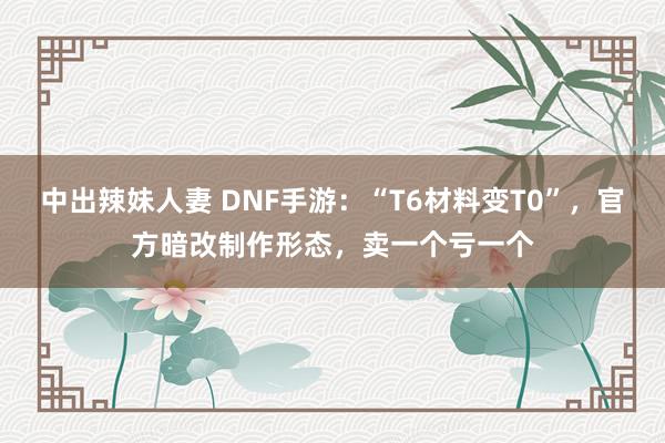 中出辣妹人妻 DNF手游：“T6材料变T0”，官方暗改制作形态，卖一个亏一个