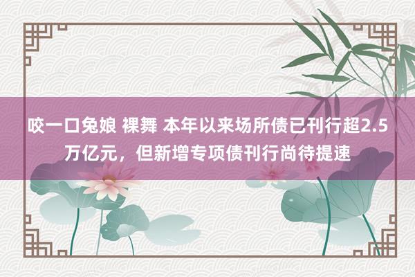 咬一口兔娘 裸舞 本年以来场所债已刊行超2.5万亿元，但新增专项债刊行尚待提速