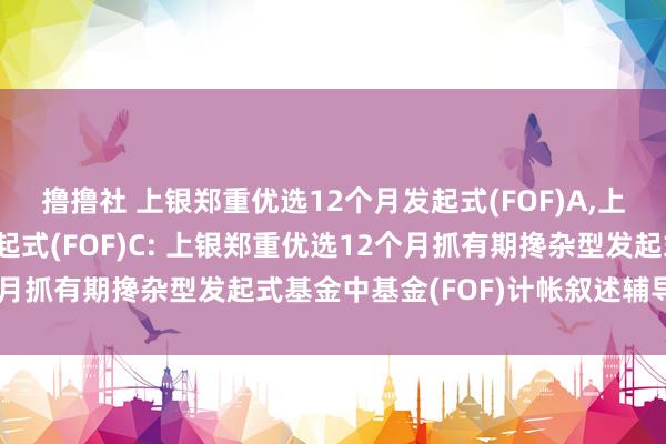 撸撸社 上银郑重优选12个月发起式(FOF)A，上银郑重优选12个月发起式(FOF)C: 上银郑重优选12个月抓有期搀杂型发起式基金中基金(FOF)计帐叙述辅导性公告