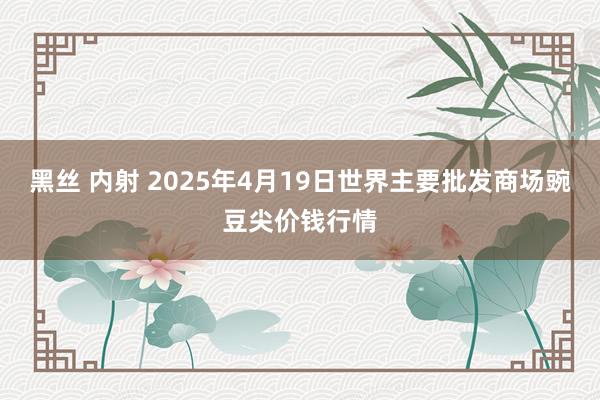 黑丝 内射 2025年4月19日世界主要批发商场豌豆尖价钱行情